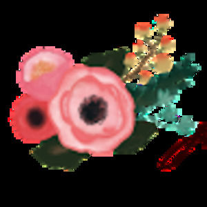 Meet your Posher, Meghan